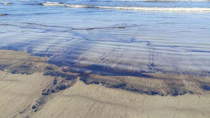 noticias24's tweet image. #QuédateEnCasa En video: así afectó derrame de petróleo a manglares de Morrocoy noticias24.com/en-video-asi-a…