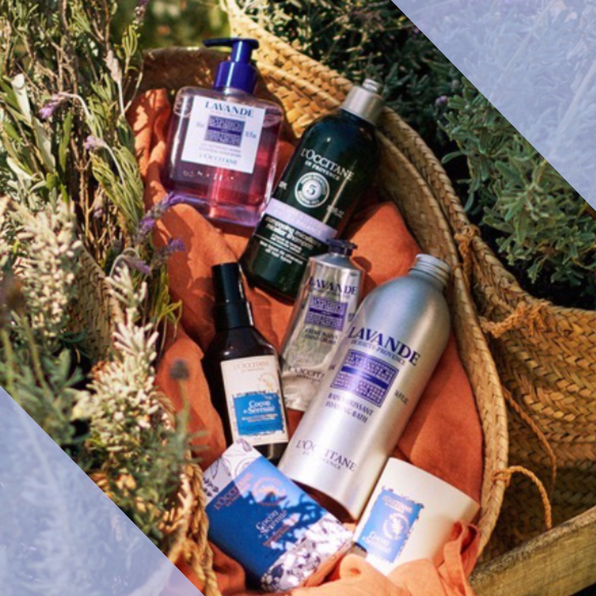 Loccitane Jp ロクシタンtvは アーカイブでご覧いただけます インスタグラムlive ロクシタンtv をご覧いただいた皆様 ありがとうございました アーカイブは以下urlからご覧いただけます T Co B4x8ugezdb 次回の配信も どうぞお