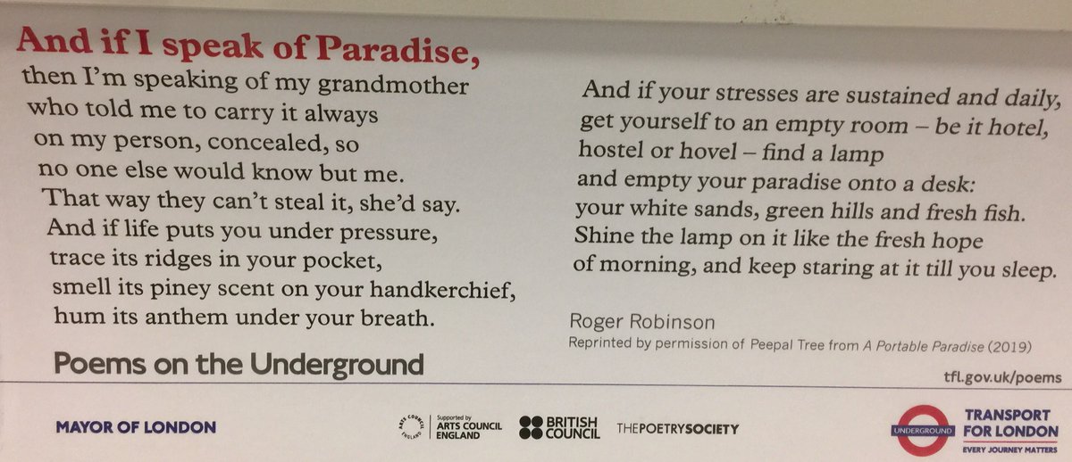 Thien Trang Nguyen Phan tweet media