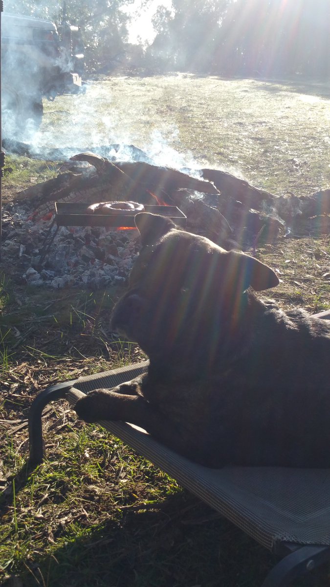 Camping and relaxing, what else we need...