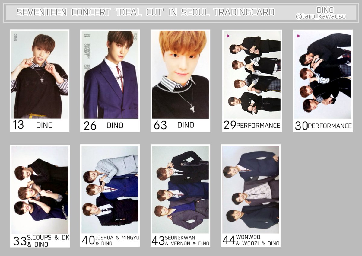 最大84%オフ! SEVENTEEN IDEAL CUT トレカ ディノ sdspanama.com