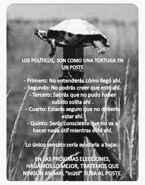 CamelloLibanes's tweet photo. Buenos días con todos ‼️...
#NoMasInutiles https://t.co/eNC94z3rAk