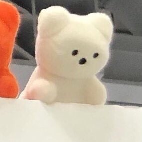 쪼꼬봇 tweet media