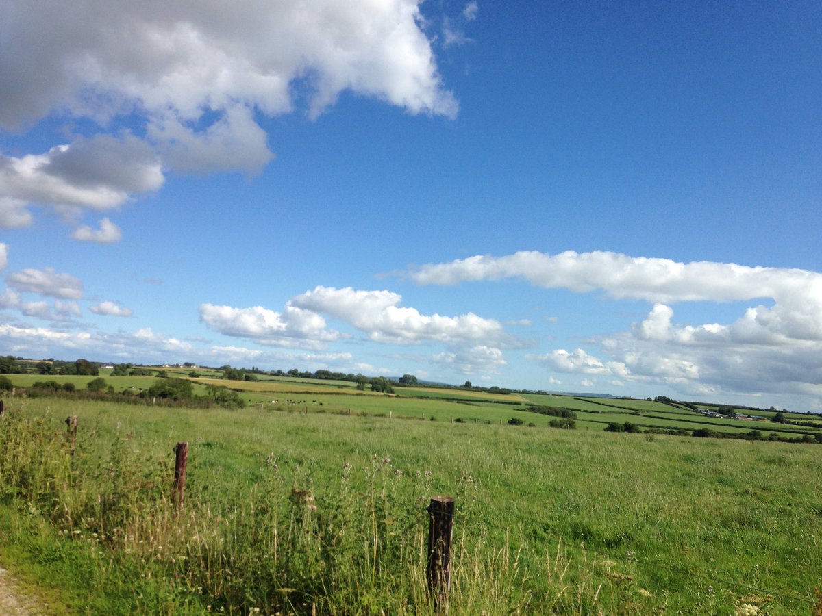 I wanted to gain more experience in the industry I loved. So I started to working for other people, including Allowdale Herefords (a pedigree hereford farm in Kanturk) and Foston Grange (a mixed farm in North Yorkshire).