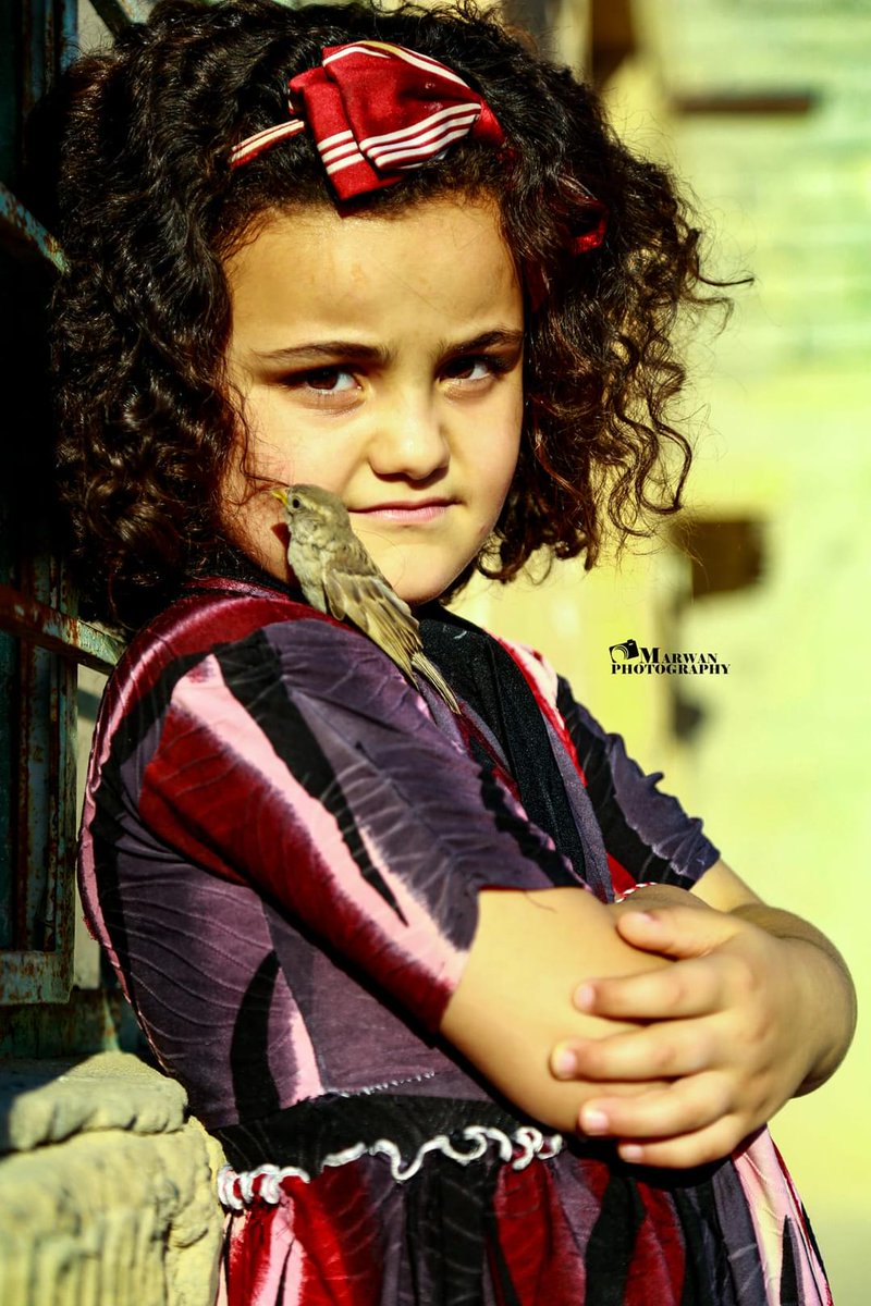 Marwanart11's tweet photo. بعض من الجمال #سنجار 
#شنكال #Sinjar  
#photography #photo #photos #Filmmaker #design https://t.co/rwZjrBhBhk