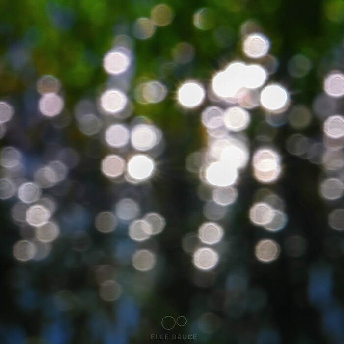 ElleBrucePhoto's tweet photo. FOUND BEAUTY...
in a moment of sparkling hope. 
⁣
"Part of being optimistic is keeping one's head pointed toward the sun, one's feet moving forward." 
~ Nelson Mandela
⁣
 #DiscoverON #OntarioSpirit #foundbeauty #foundbeautytoday #intentionalblur #blu… https://t.co/VUHsbj5bWu https://t.co/iCtoL4rK6x