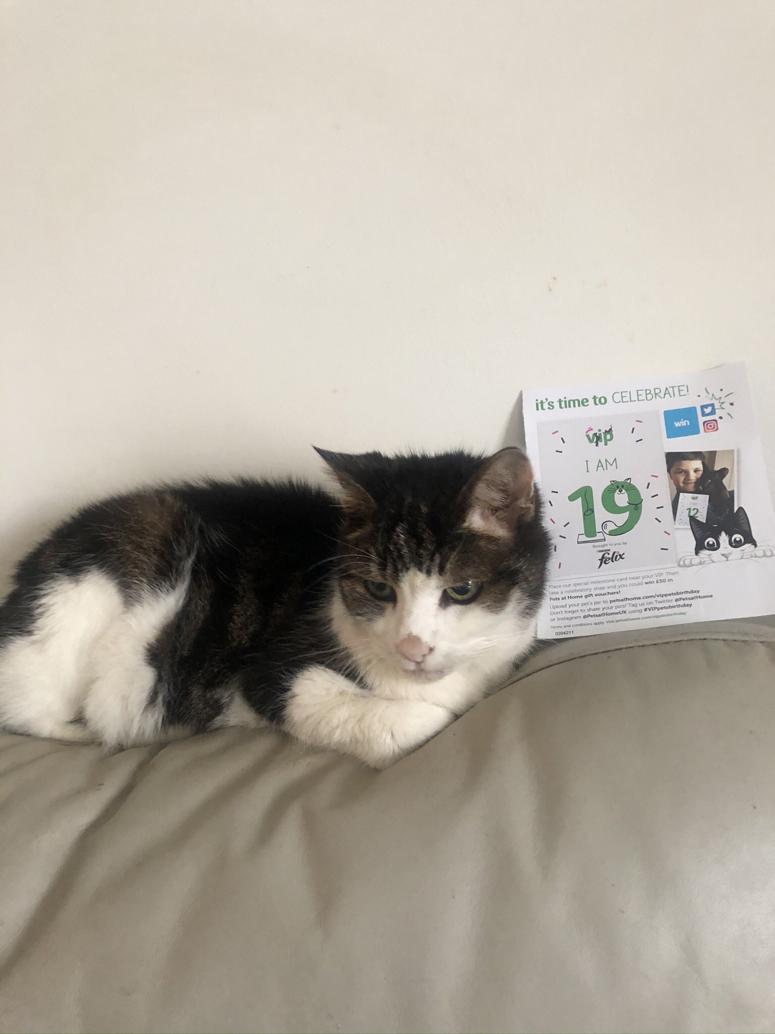  Happy Birthday. You share it with my 19 year old cat, Mischief. All the best x 