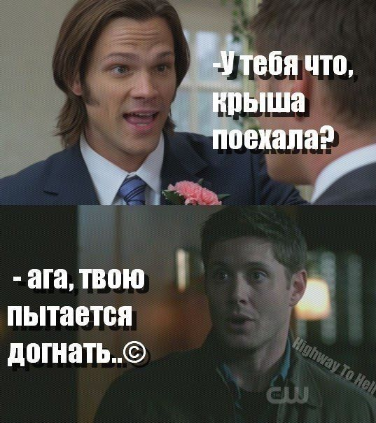 Урса: Это самая кринжовая сцена за всю историю КР...
Урок: Игроки тебя сожрут, а я буду наблюдать.
Урса: ЭТО ТЫ ПОДБИЛ МЕНЯ ЕЁ НАПИСАТЬ! НЕНАВИЖУ!
//хватает кроссовок и гоняет Урюка по офису//
А обновление подкрадывалось всё ближе...

#горячееизофиса #урюкиурса