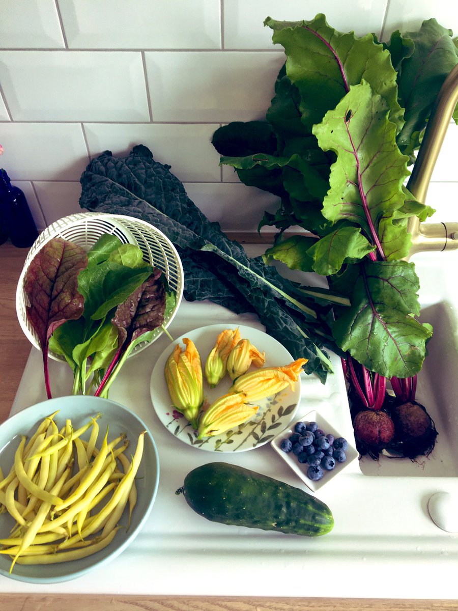 A good start to August! #harvest #homegrown #organic