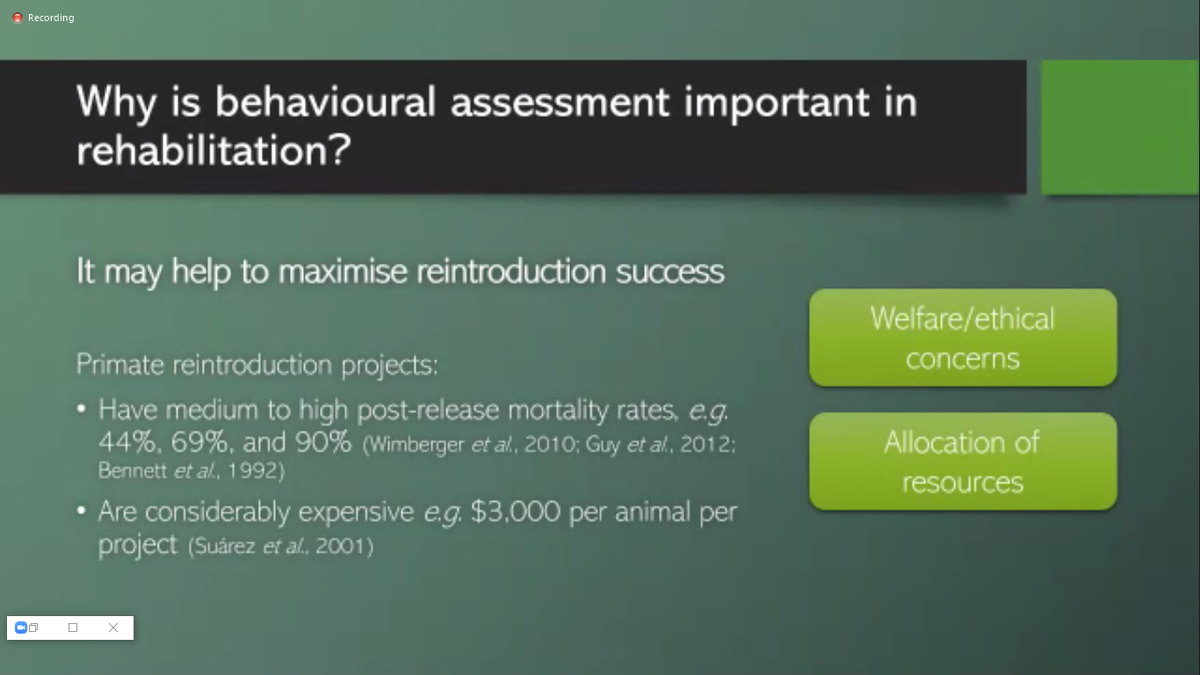DeboraRacciatti's tweet image. Guillermina Hernandez Cruz on the importance of #BehaviouralAssessment for #Conservation. One way to assess the progress of rehabilitant individuals is by measuring changes in activity budgets across time. #ISAEvirtual2020