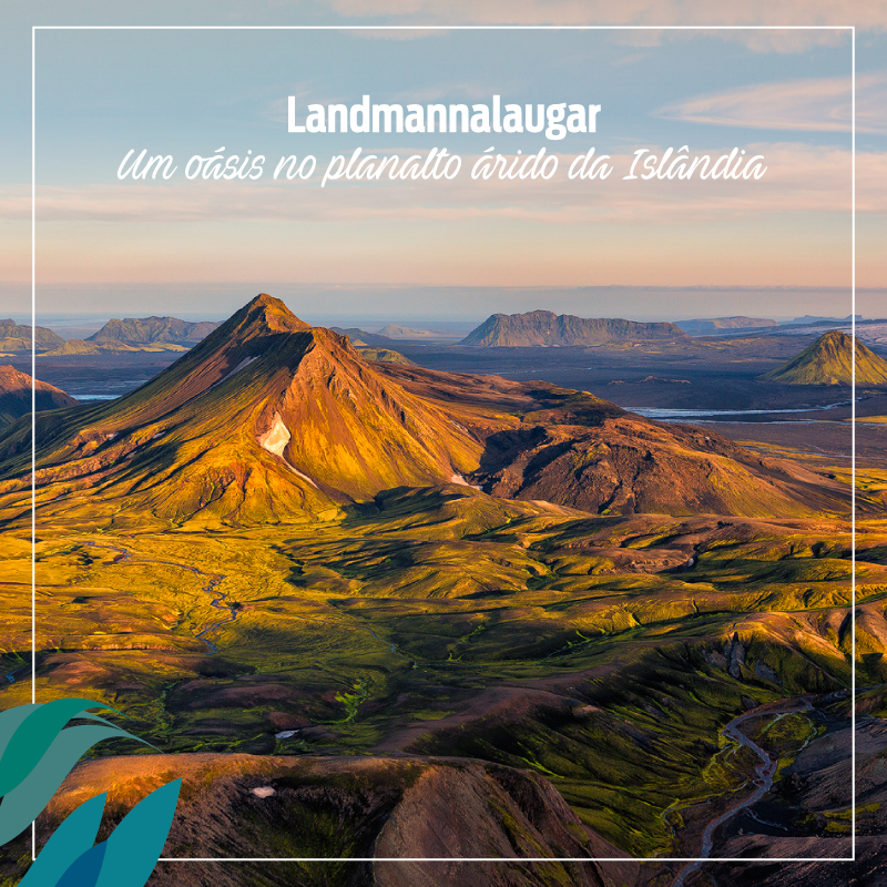 TravelyOficial's tweet photo. Landmannalaugar é uma região termal do Sul da Islândia, com umas termas rodeadas de natureza selvagem.

Experimente o mundo com a Travely!

#travely #operadoradeturismo #islandia #experimenteomundo #experiencetheworld https://t.co/QC6jCVl6v1