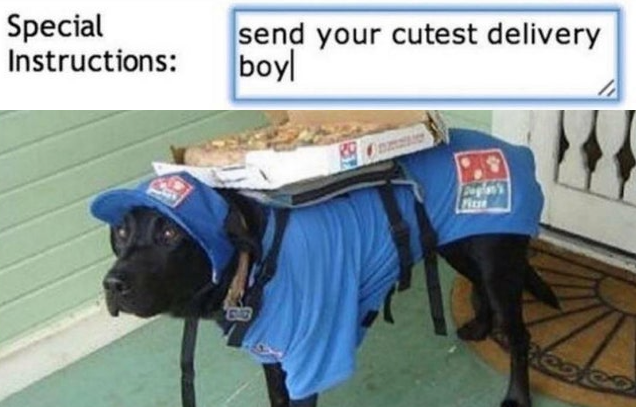 WholesomeMeme's tweet photo. https://t.co/0jMETycVEU