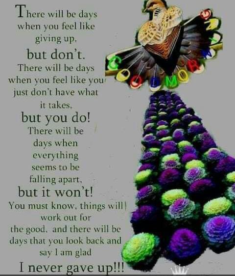 CumbaSelina's tweet photo. Keep walking 🚶‍♀️🚶‍♂️
#ZimbabweLivesMatter https://t.co/KeqNdOR0Eo