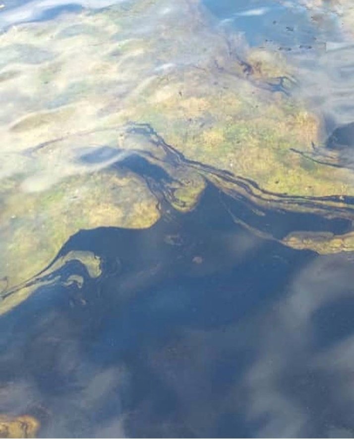 Lirivass's tweet photo. Hace unos días locales de zonas adyacentes al parque nacional Morrocoy notificaron que el 31 de julio se veía petróleo por golfo triste. El mismo llegó el 1 de agosto a Boca de Aroa. El derrame del crudo es gigante por las playas del este de Falcón. Nuestro ecosistema sufre. ⚠️ https://t.co/xneenCUsjU