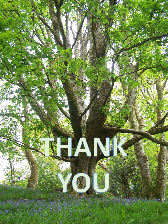 TreesHelp's tweet image. Thank you! We have received so much support for our petition over the past 2 months.  Now for a short social media break before the real work begins! #HelpTreesHelpUs #ProtectAncientWoodlands