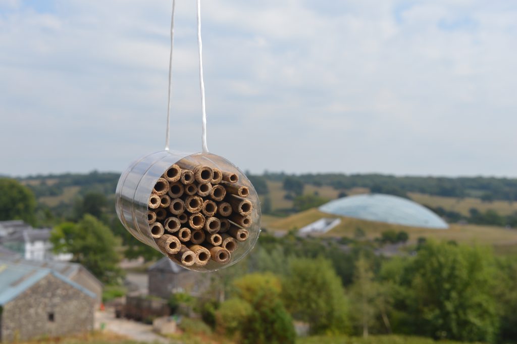 GTFCymru's tweet photo. #ProjectPollinate ππ¦
Weβve teamed up with @ecoattractions on this fab competition for children aged 16 and under to design and create their own #Pollinator Palace!
Closing date: September 4th 2020. More info and ideas here - https://t.co/N8VsMEin5n https://t.co/JYMgjSrvbj
