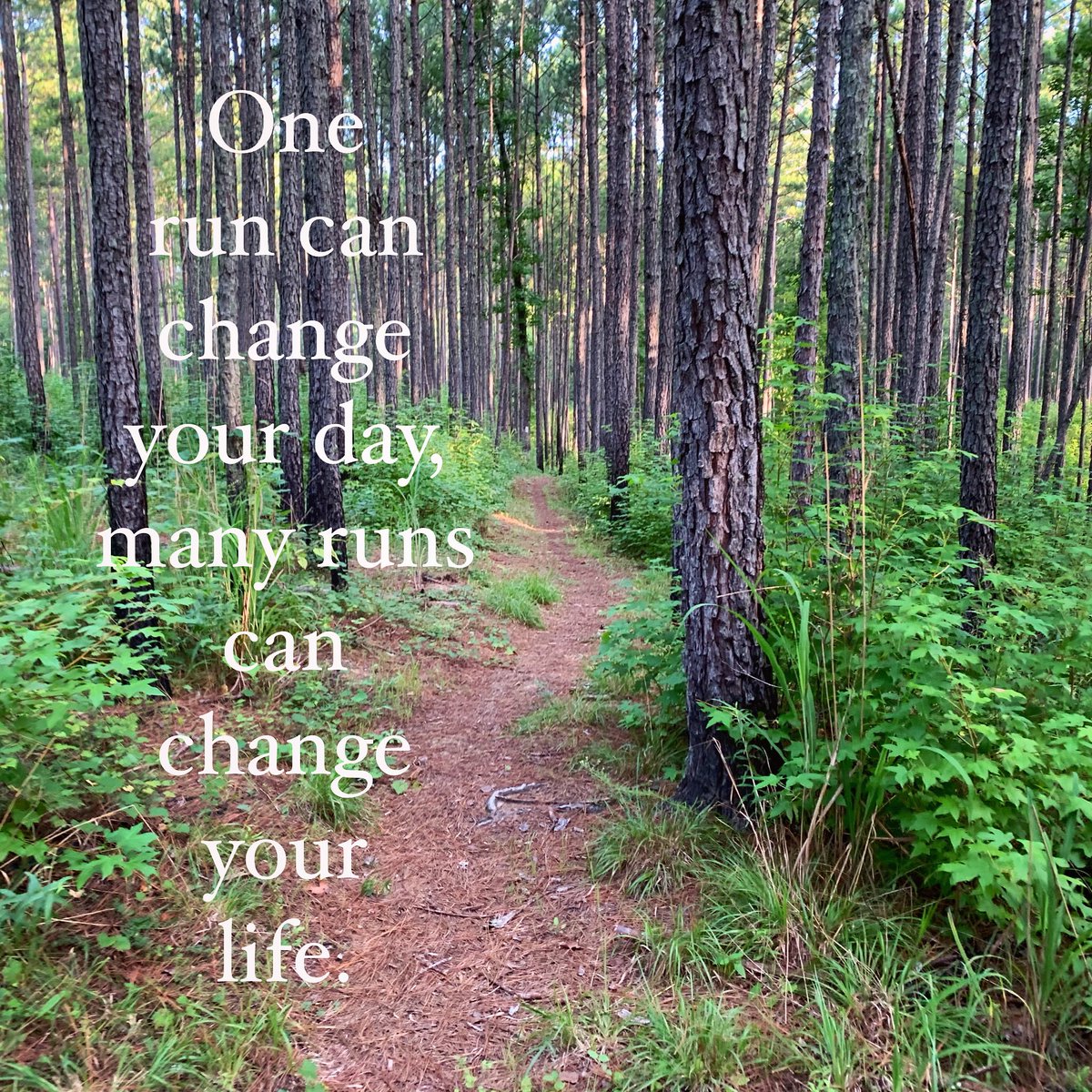 Nathan Maxwell tweet media