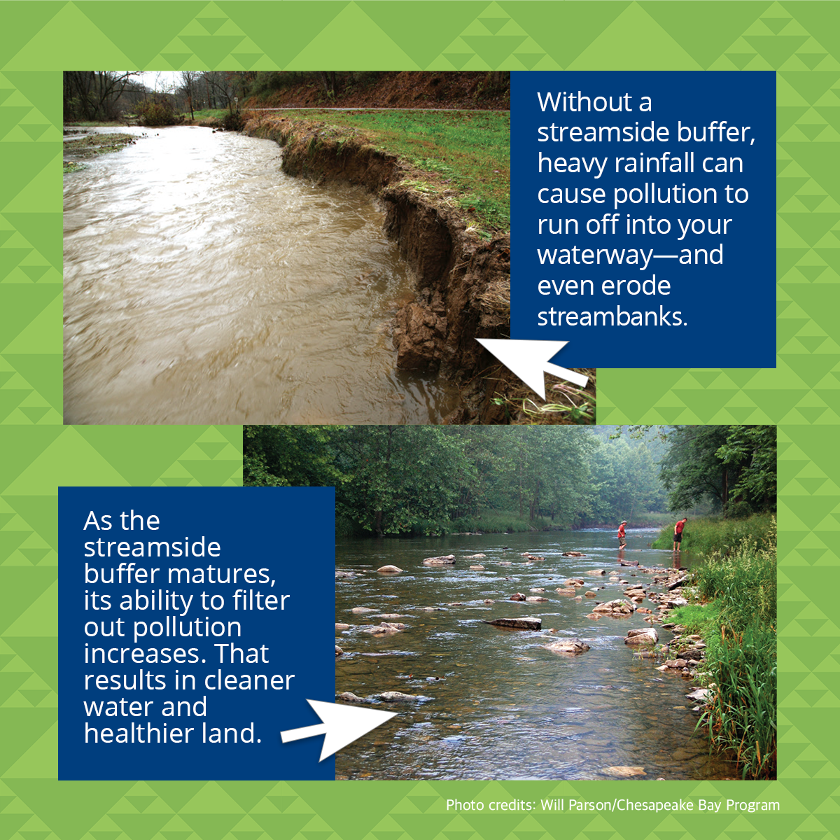 PENNVESTPA's tweet photo. Pennsylvania landowners with streams on their property are being encouraged to improve water quality and lessen erosion by planting native trees and shrubs along the water’s edge.
Learn more: https://t.co/F4N3xnJAZu #BufferMyStream
@dcnrnews https://t.co/7wrq4nixms