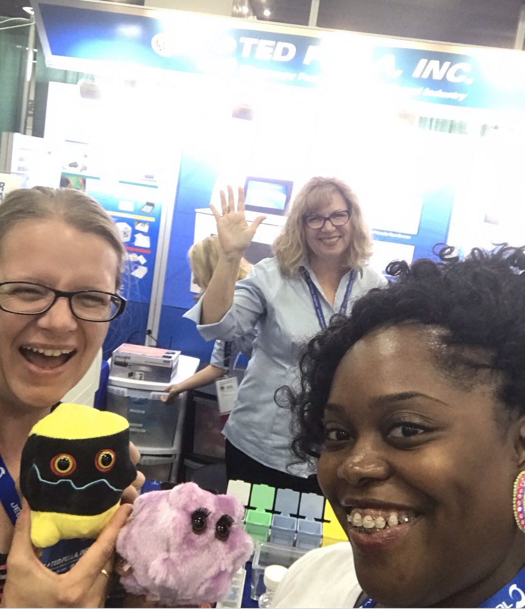BeadingByTrevaB's tweet photo. #MM2020Virtual today’s highlights: Exhibitirs, MSA &amp; MAS annual meetings, #microscopyfashionchallenge and #MM2020VirtualRunGroup with our microscopy or science trinkets/toys/microbes (@TedPellaInc), &amp; platform sessions, including mine 😁! See y’all around today! https://t.co/eiUoExMfJ5