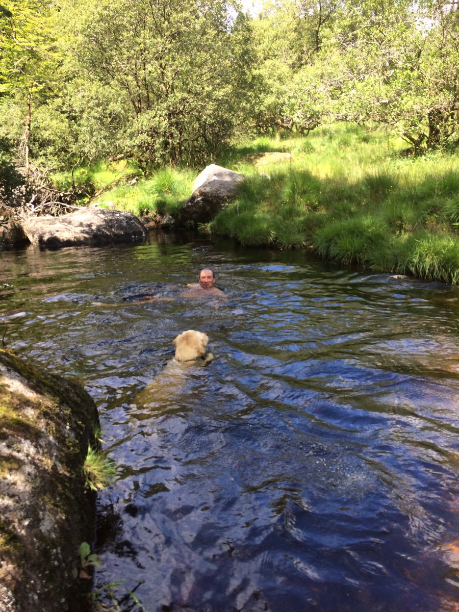 poolsbymatthew's tweet photo. Fancy a dip? Here is Matthew and Daisy wild swimming #Dartmoor #wildsiwmminguk #freshwaterpools #goldenretriever https://t.co/JZOmUiD7Pc