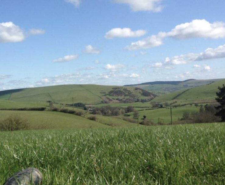 During my time at  @HarperAdamsUni,I helped with lambing at 3 different farms (in Warwickshire,Shropshire & Abergavenny), I worked for Flyde, Fresh & Fabulous (a small potato processor), I worked for ABP during a summer and completed a years placement with Avara Foods!  #Farm24