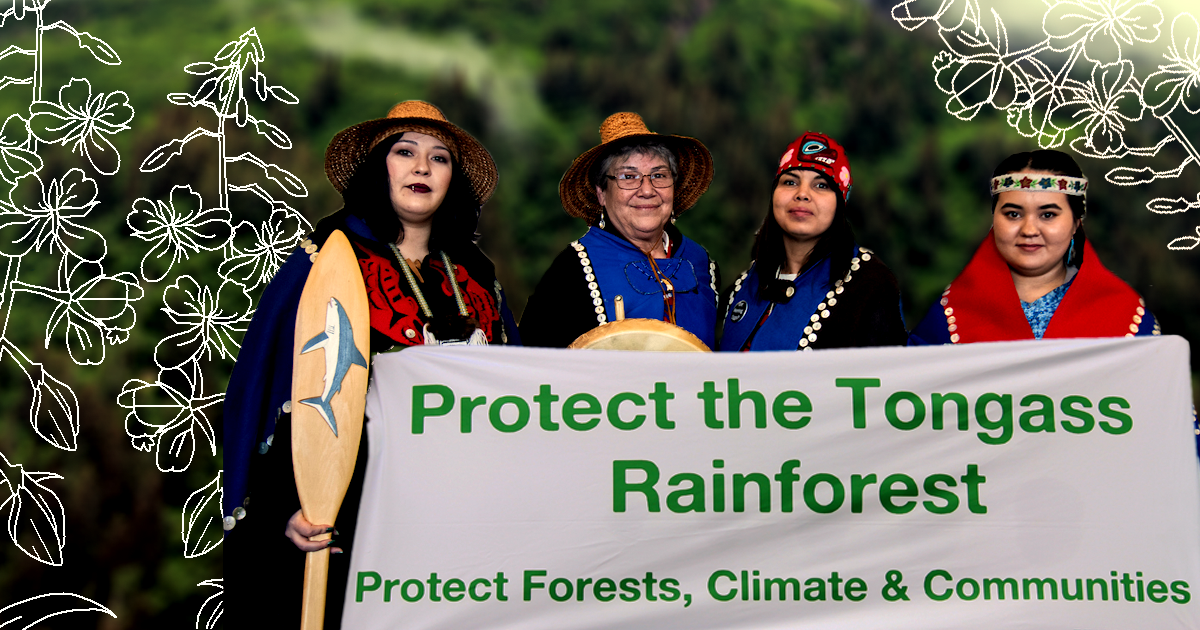 A 3rd Indigenous Women's #Tongass Delegation heads to D.C. to meet with legislators virtually & advocate for forest protections, their ancestral homelands, and the global climate. #ProtectTheTongass #WomenForForests
Learn more here: tinyurl.com/W4Forests