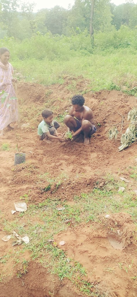 SinghReshu1's tweet photo. Teaching to son#Tribal Technic#Plantation#Father-son# https://t.co/wLuJr4cWl8