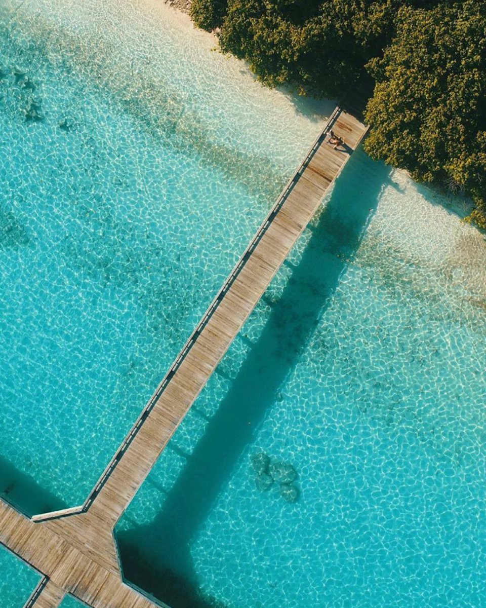 imtmonline's tweet photo. Highlight | @oneonlinemv Online News Partner of IMTM 2019.
.
๐ธ | @hucherm
#IMTM #IMTM2019 #LuxuryTravel #iamwithimtm #AffordableTravel #Resorts #Guesthouses #Liveaboards #Hotels #VisitMaldives #maldives https://t.co/eoZcL9sMvd
