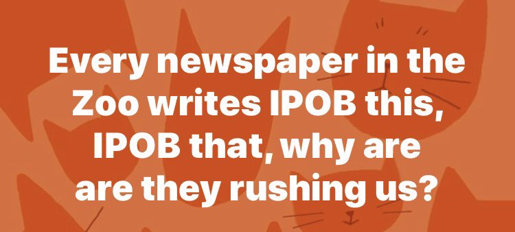 Amaka_Ekwo's tweet photo. Every newspaper in the Zoo writes IPOB this, IPOB that, why are 
are they rushing us?
@MaziNnamdiKanu https://t.co/Vz3LFGXqUs