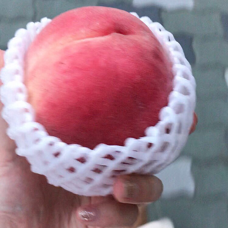 EtePetit's tweet photo. いい顔してる桃 https://t.co/mvkqUlMDsJ
