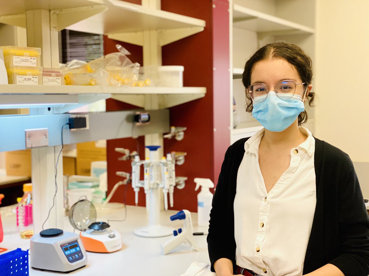 RiceLabOMRF's tweet image. Congrats to Samah on completing a successful summer rotation in the lab and delivering an excellent final presentation summarizing her studies on GABA B Receptor function! We wish her the best as she begins her first year of the MD/PhD program at OUHSC!