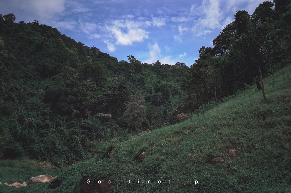goodtimetrip's tweet photo. ⛰🌲 #เขาช่องลม #นครนายก สายธรรมชาติสีเขียว   ☘️🌱🌿🌲 

รีวิว https://t.co/WLehD1oGmq… 

น้ำตกเขาช่องลม, ปากพลี, นครนายก
📍 พิกัด : https://t.co/WtJTi8Cndi…

#เที่ยวได้เที่ยวดี 
#goodtimetrip
#เที่ยวไทย 
#ไทยเท่ 
#เขาช่องลม
#น้ำตก https://t.co/gUGnjwrp0h