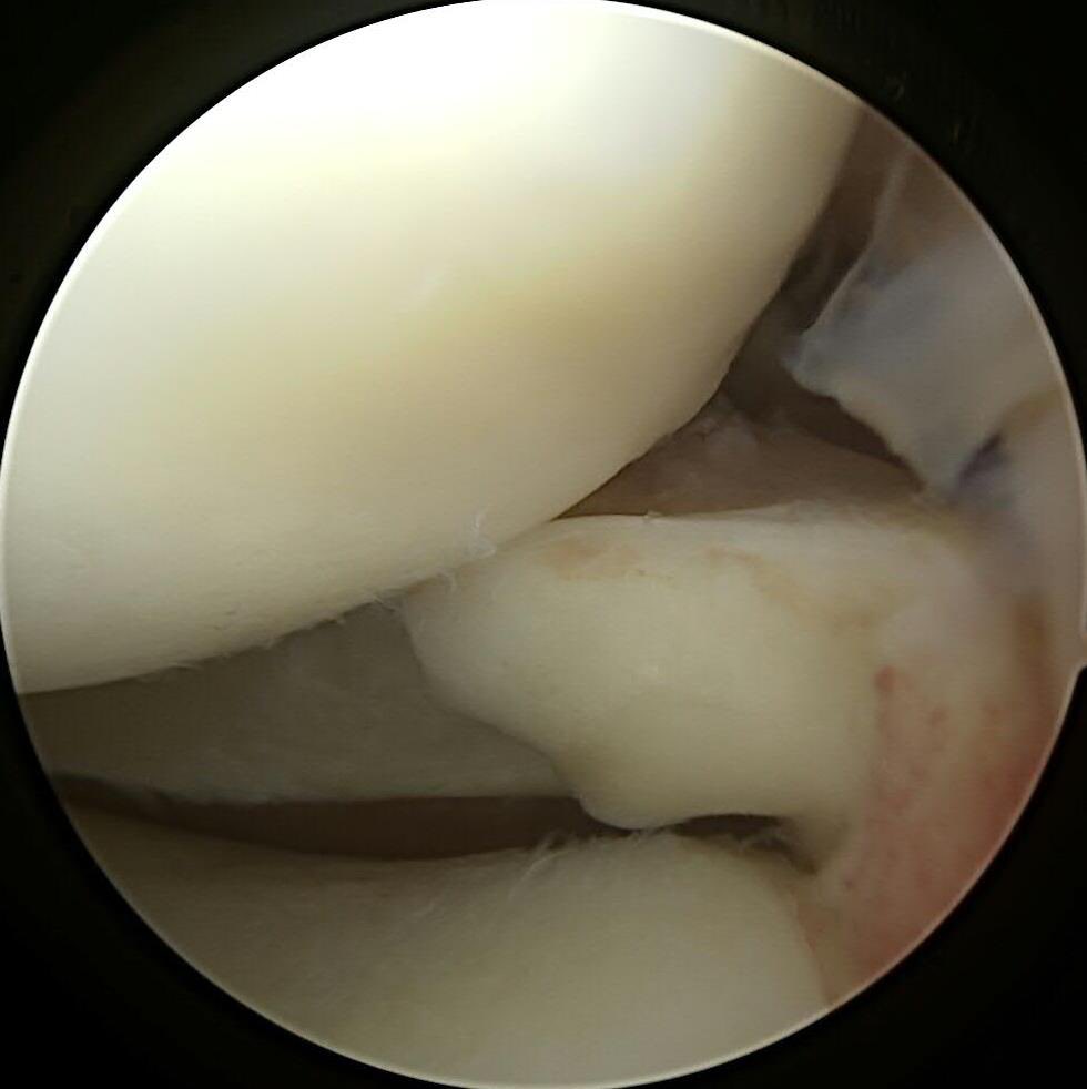 Michael J. Stuart tweet media