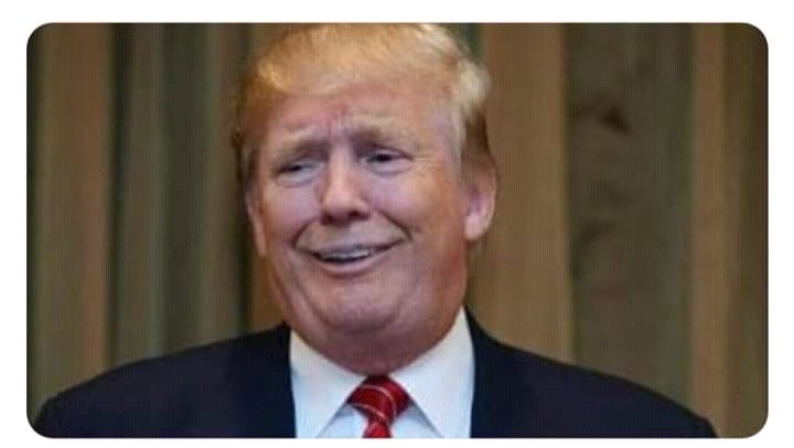 — Esas audiencias en penal me parecen muy riesgosas y delicadas.
—