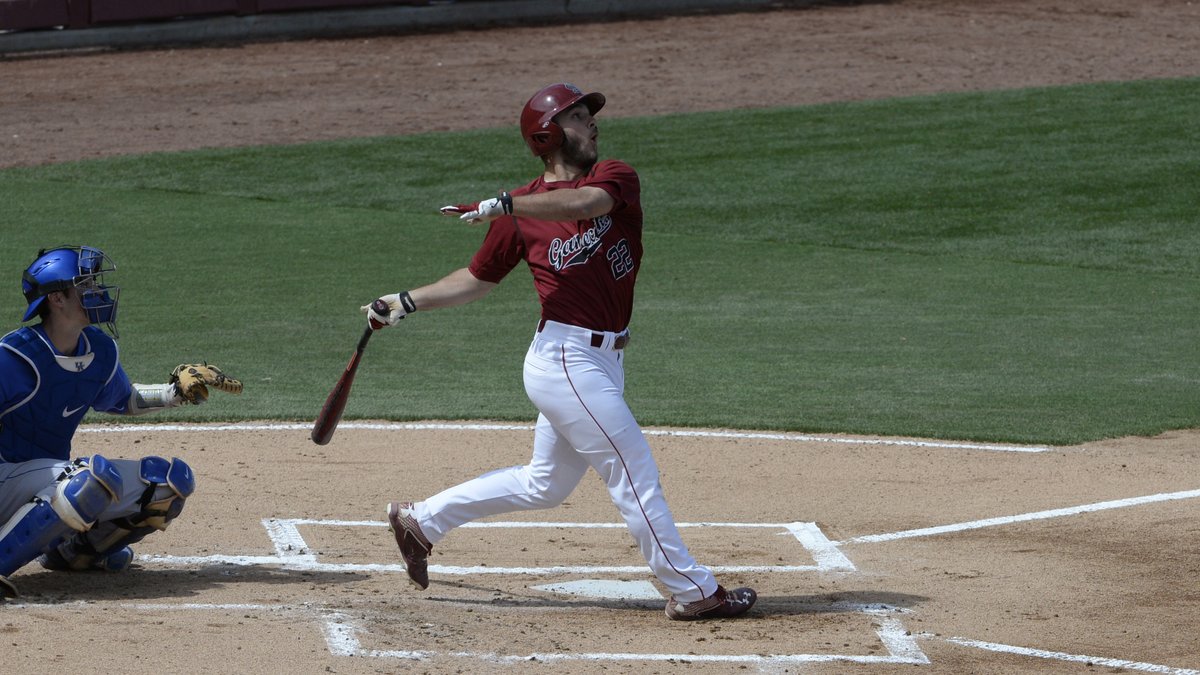 GamecockBSB's tweet photo. #TBT to this amazing @mschrock94 photo from 2015!! Schrock was called up by the @Cardinals yesterday afternoon!

#Gamecocks | #ForeverToThee https://t.co/CLtwWCM3Yo