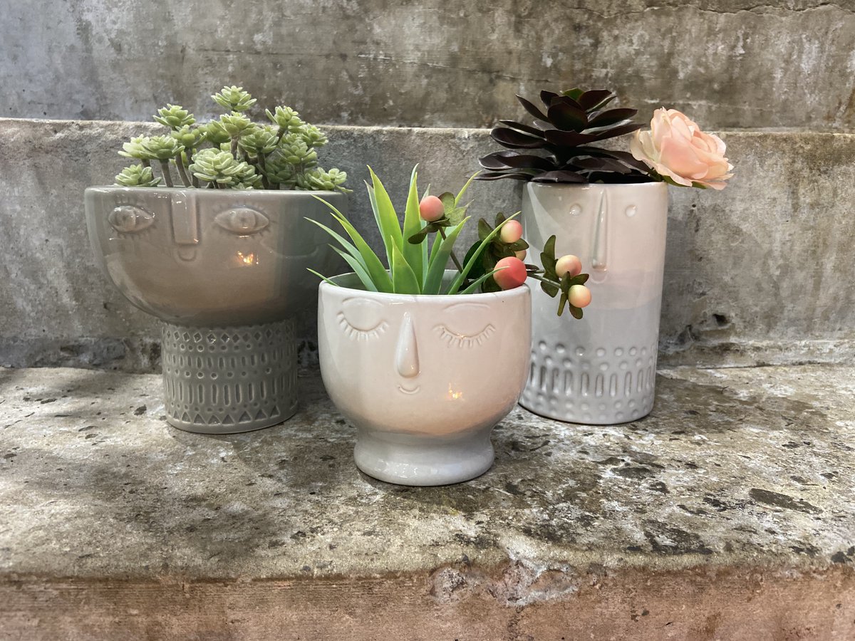 Gower Gallery tweet media