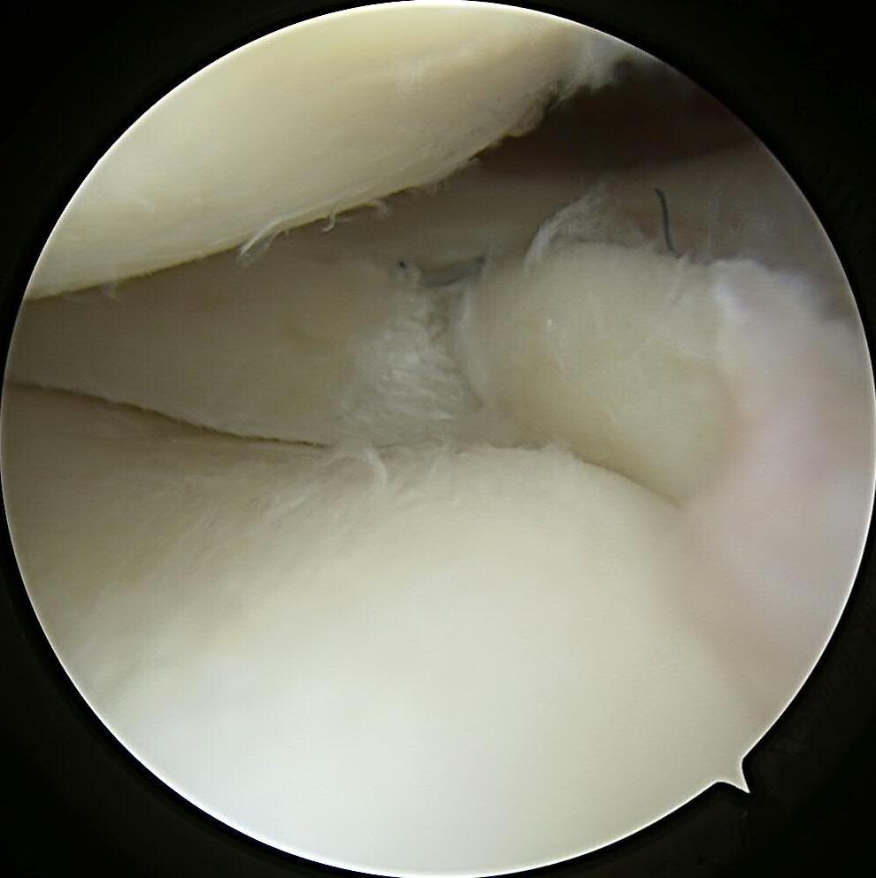 Michael J. Stuart tweet media