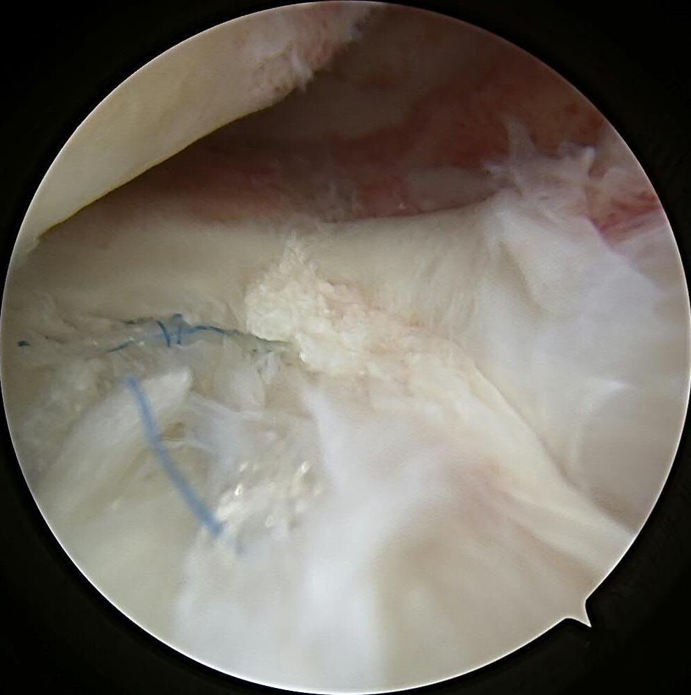 Michael J. Stuart tweet media