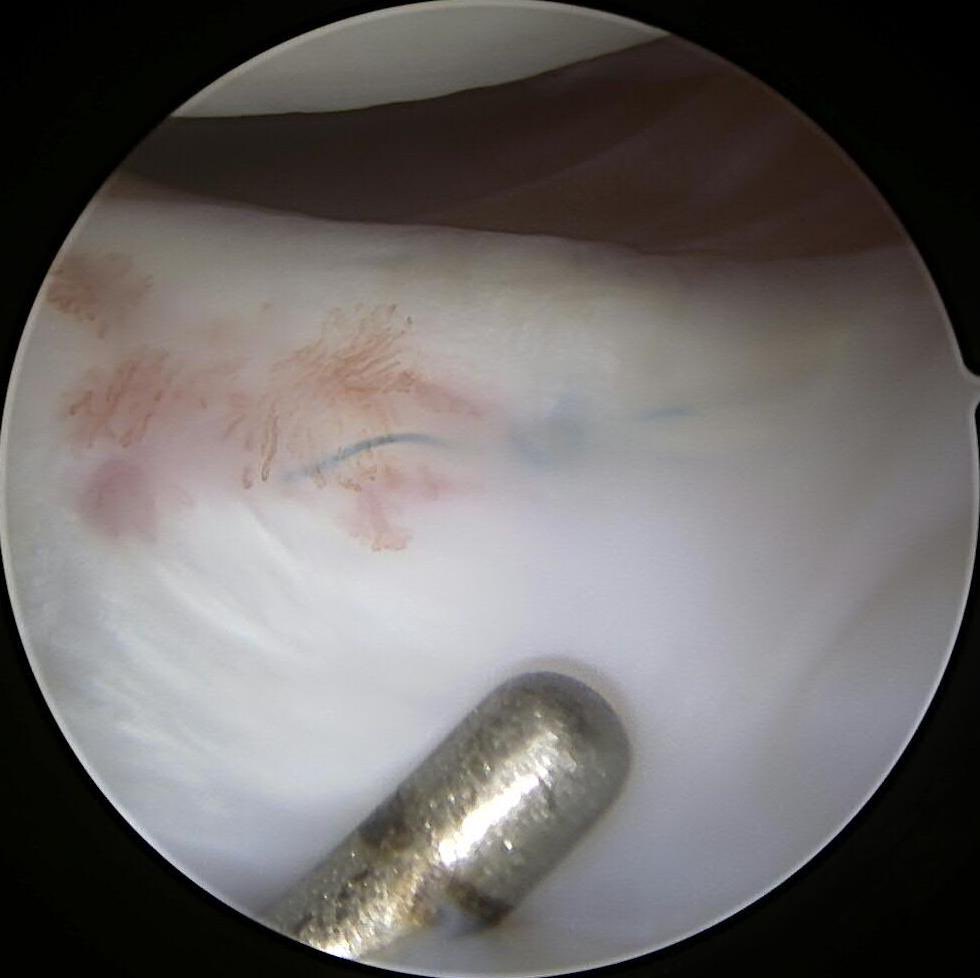 Michael J. Stuart tweet media