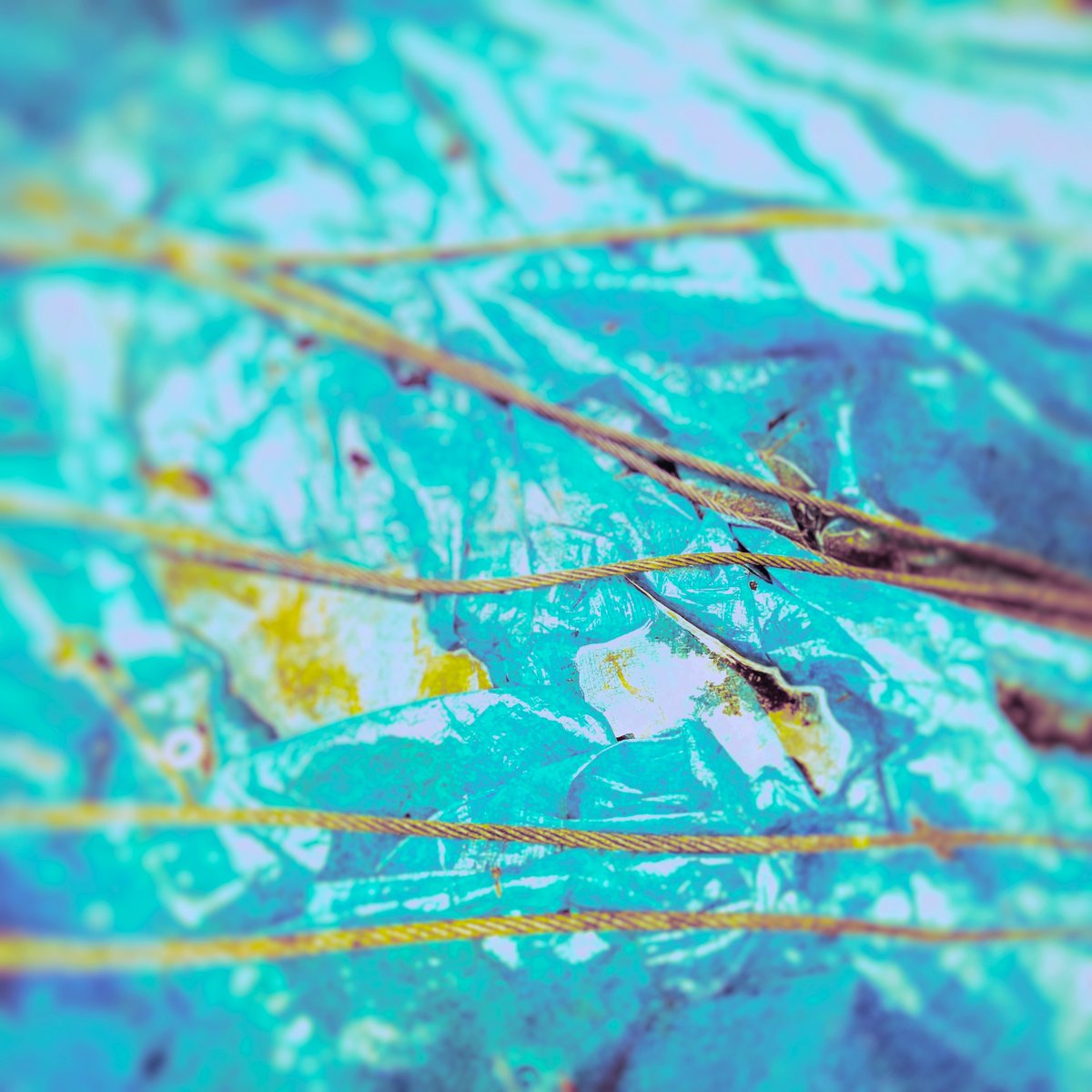 I've just uploaded two new album for my Bandcamp.
Bandcampに新しいアルバムをリリースしました、気に入っていただけたらダウンロードよろしくお願いいたします。'Foggy Thursday'
atsukohatano.bandcamp.com/album/foggy-th…