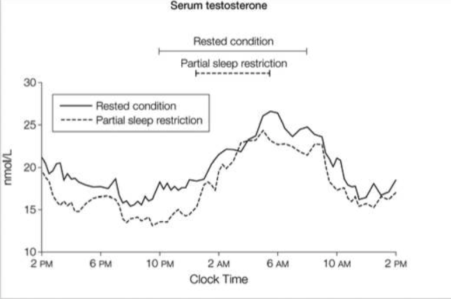 #11 SLEEPTestosterone increases as you sleep and decrease the longer you’re awake. Morning wood anyone??The highest levels of testosterone production occur during REM sleepIn this study, sleep restriction decreased T almost 20% at certain pts throughout the day