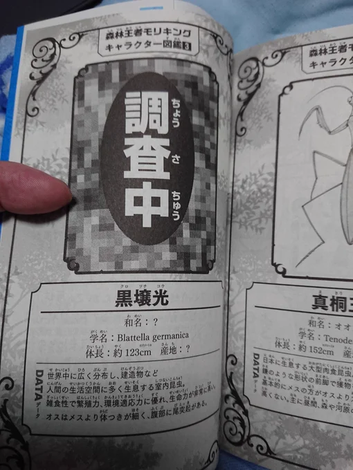 光くん… 