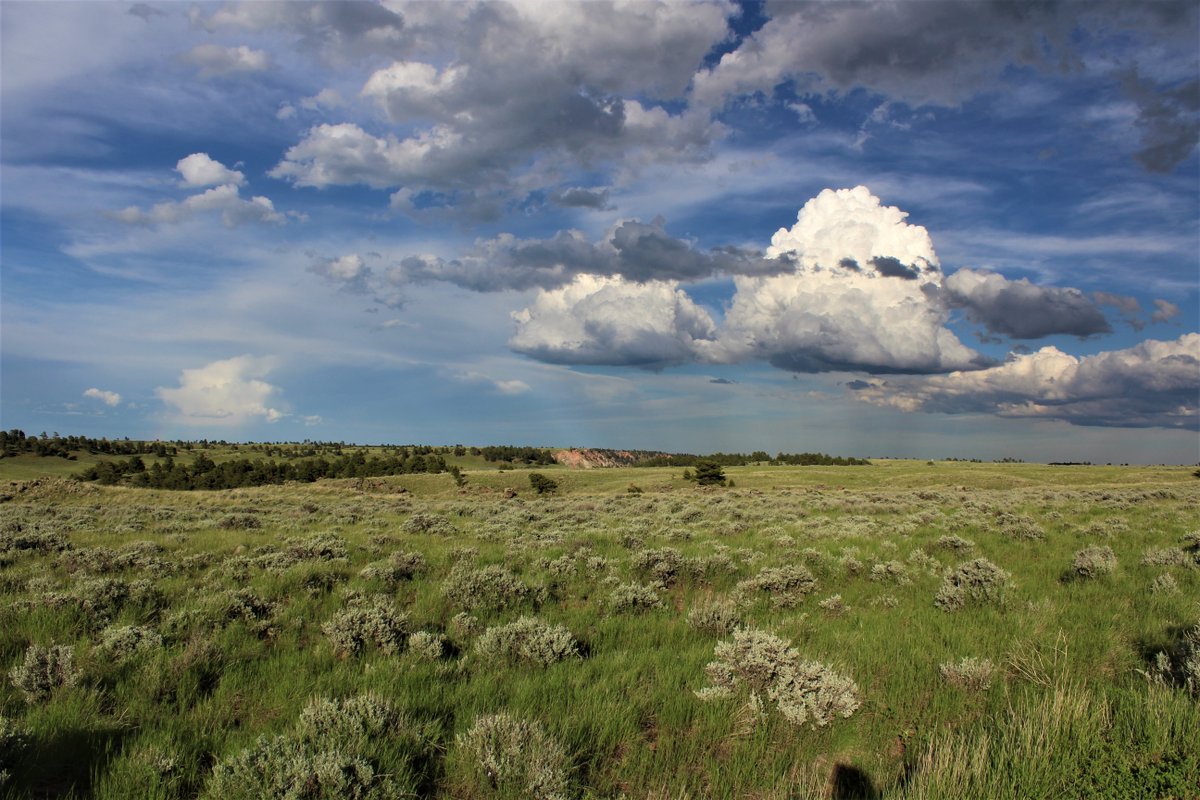 The NARM  #coal mine covers over 20k acres (or 30+ square miles) of public land in the Thunder Basin National Grassland. The mine has yet to receive ANY final bond release, meaning none of this land has been returned to the public for recreation or hunting.