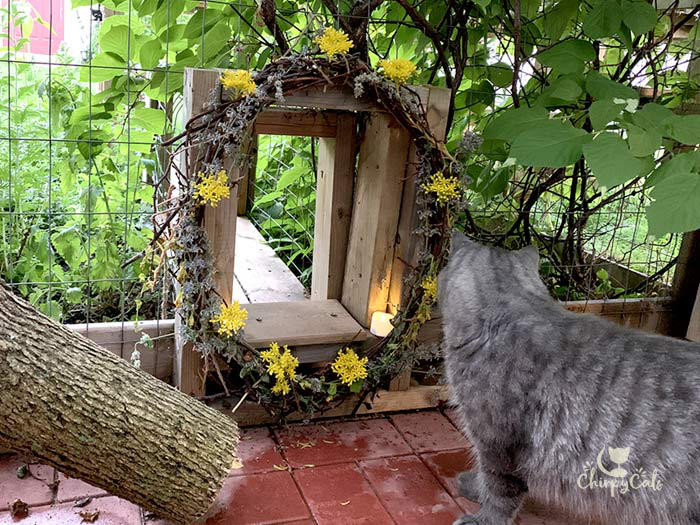 Chirpycats's tweet photo. Make the most of the evenings with the kitties by lighting up the catio space with carefully chosen lighting options.

Read the full article: 9 Awesome ways to bring your catio to life with these catio accessories
▸ https://t.co/TjblAl4CXh #catio #catioaccessories https://t.co/78RJcPpG8o