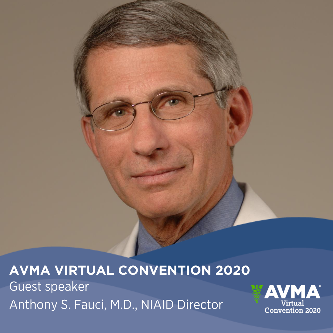 AVMA Meetings & Events on Twitter "The final day of AVMA2020 promises