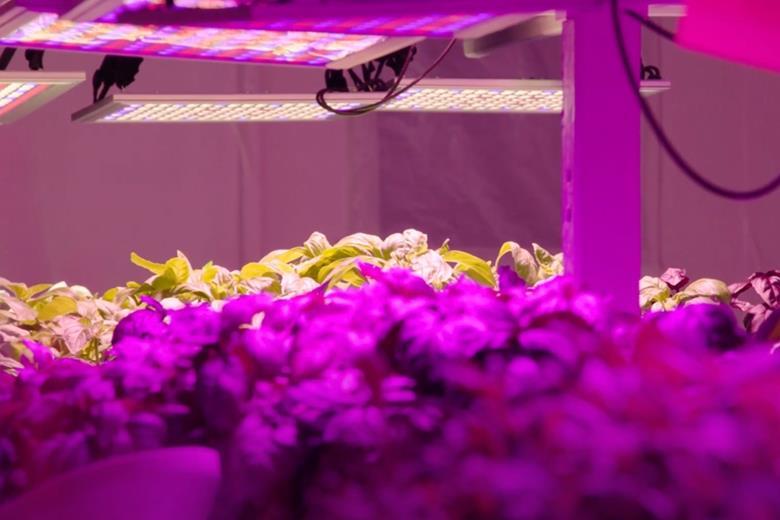 ColworthScience's tweet photo. Vertical farming venture GrowPura secures major government grant to build new facility at Colworth Park. https://t.co/jNMOSywj1c https://t.co/ghD7oACuVA