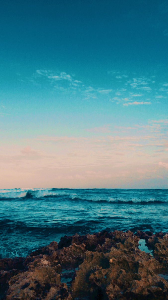 aneelriveraa's tweet photo. 🐚🐚🐚🐚🐚 
5/01 https://t.co/yJtMxbrUhs