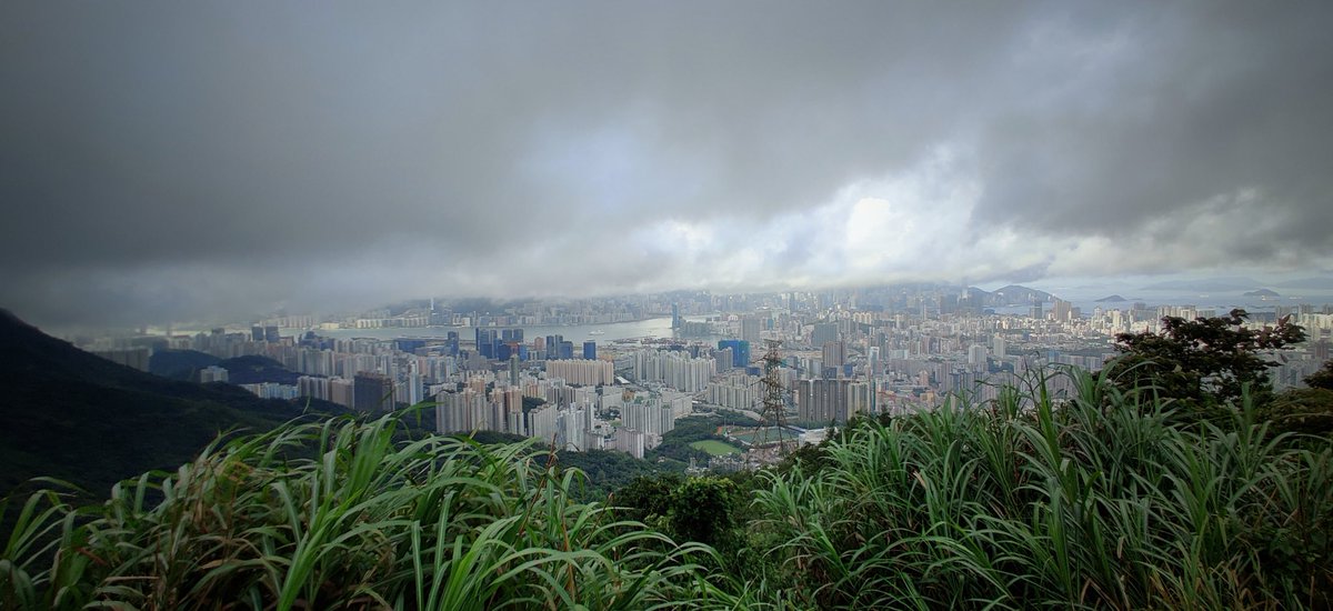 #3 Don't know what people think of when they think of  #HongKong, but here's a bit of a different angle on skyscraper mania near nature from a morning  #hike in  #hk...