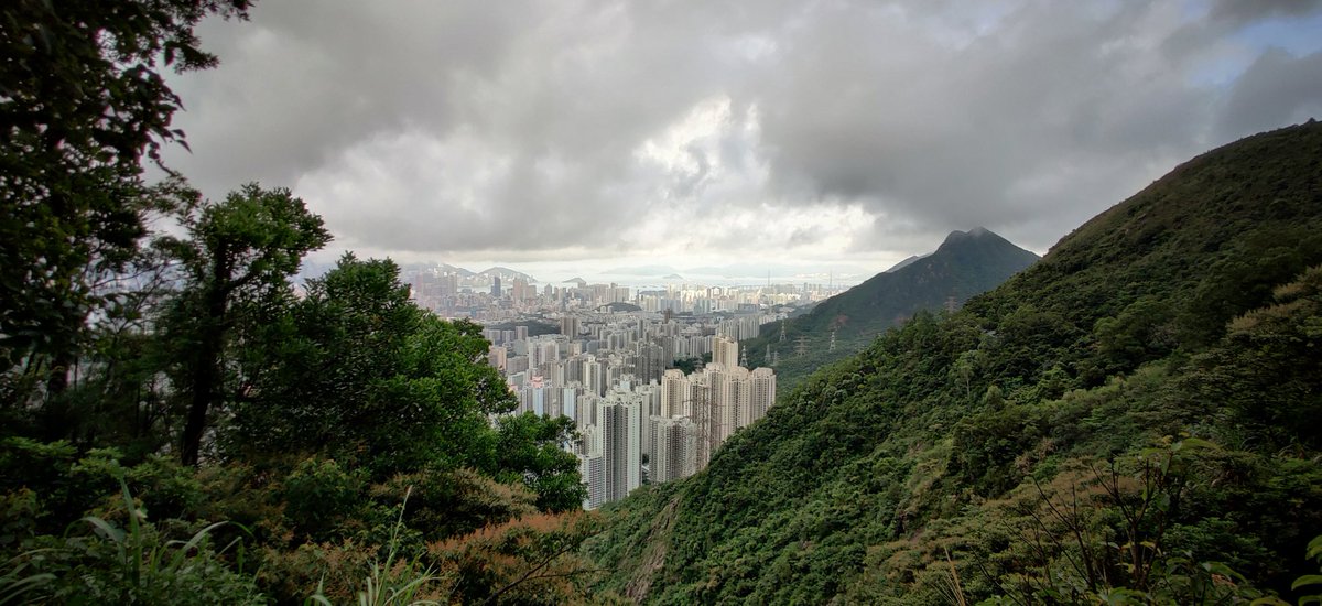 #3 Don't know what people think of when they think of  #HongKong, but here's a bit of a different angle on skyscraper mania near nature from a morning  #hike in  #hk...