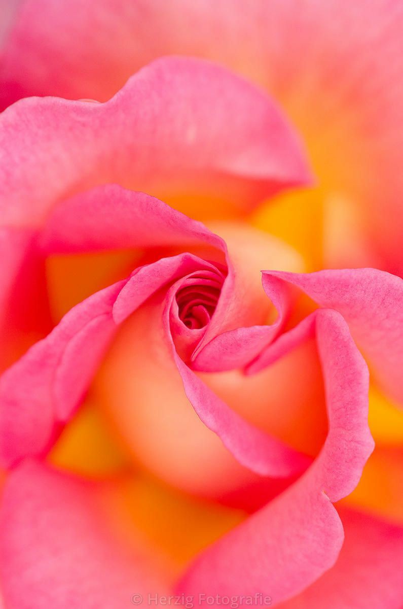 Thank you My dear friends💕💕💕
Enjoy your day💕💕💕
Good Night❤️See you❤️